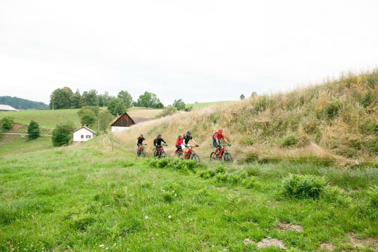 Gasthof Zum Moosmann - Familie Pachernigg Arnfels Exteriör bild